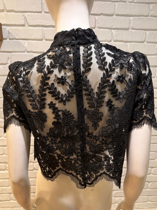 Stone Cold Fox Black Embroidered Lace Crop Top M Mock Neck Sheer Luxe NWOT - Picture 11 of 13